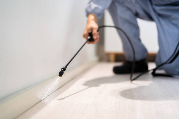 Licensed Termite Control service in Hutchinson County County, SD - Nex Pest Control
