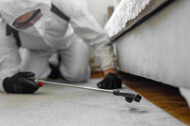 Professional Termite Control technician working in Hutchinson County County, SD